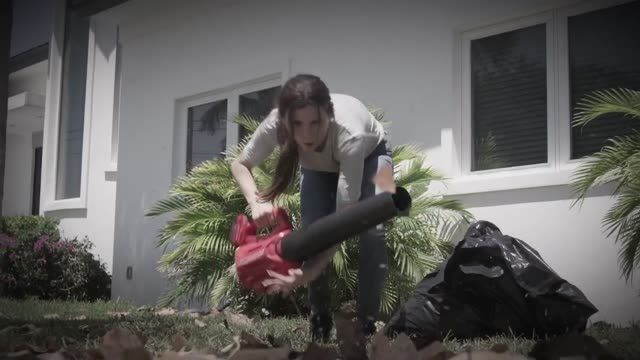 Bullseye Blower